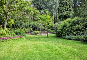 Optimiser l'expérience du jardin à Charleville-sous-Bois